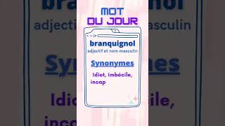 Mot du jour : branquignol (adj./n.m.) ... #idiot #fou #motdujour #vocabulaire #fle #languefrançaise