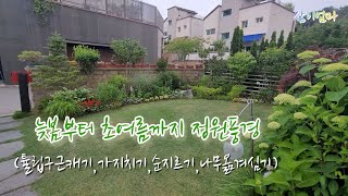 늦봄부터초여름까지 정원풍경(튤립구근캐기,가지치기,순지르기,나무옮겨심기)