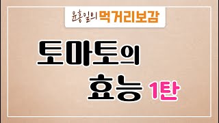 [윤홍일의 먹거리보감] - 오늘의 주제 '토마토' 1탄