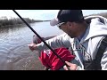 massive 80 pound sturgeon