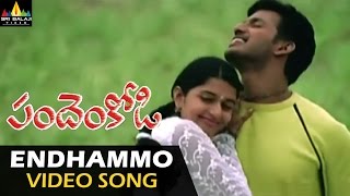 Pandem Kodi Video Songs | Endhammo Jariginadi Video Song | Vishal, Meera Jasmine | Sri Balaji Video