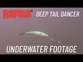 Rapala Deep Tail Dancer Underwater Footage