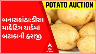 બનાસકાંઠા: ડીસા માર્કેટિંગ યાર્ડમાં બટાકાની હરાજી,યોગ્ય ભાવ ન મળતા ખેડૂતો નારાજ, જુઓ ગુજરાતી ન્યુઝ