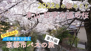 一日乗車券で巡る京都市バスの旅　番外編　春の京都　桜巡り2022_16　哲学の道の桜