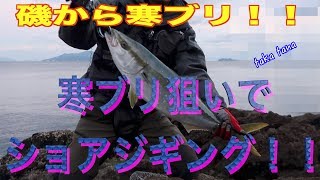 ショアジギング　磯から寒ブリを狙って！！ぶり　鰤を釣る