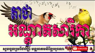 គាថាអណ្តាតសារិកា