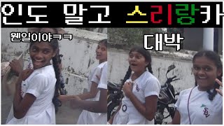 한국인 1도 없는 스리랑카에서 무계획으로 다녀보기 - 인도여행 말고 스리랑카 여행[랜선여행]