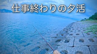 【釣り】清水港仕事終わりの夕暮れ活動で釣り