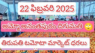 @22 ఫిబ్రవరి 2025 // అనంతపురం, దిగుమతి //🍅🍅తిరుపతి టమోటా మార్కెట్ ధరలు 🍅🍅🍅