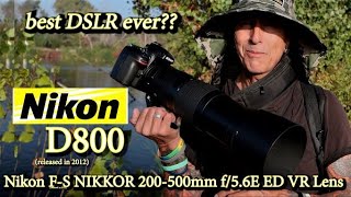 An old DSLR in 2022? The Nikon D800 and Nikon 200_500 lens - still such a magical camera combo!