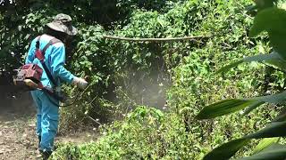 Cleaning Up Creepy Abandoned House: Shocking Discovery of The Mysterious Gate & Hidden Cave