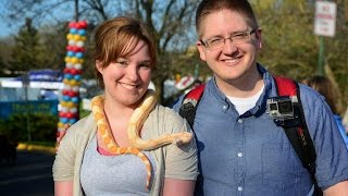 Bringing a Boa to the Walk for Animals