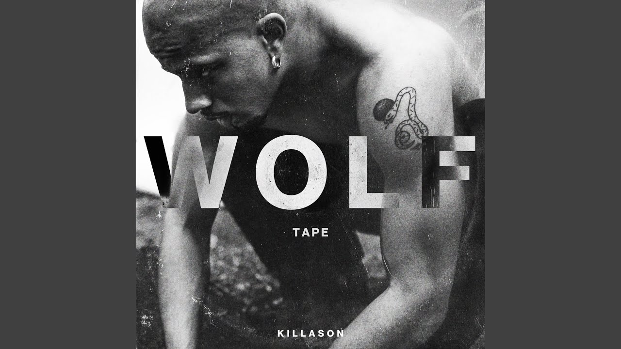 Polymath Youtube Music