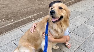 犬を飼ってないのが信じられないほど犬慣れしている少年と出会った…