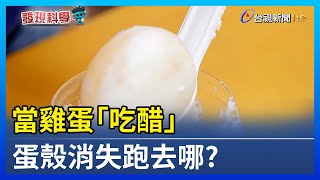 當雞蛋「吃醋」蛋殼消失跑去哪？科學大解密