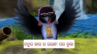 ଚତୁର କାଉ ର ଭଉଣୀ ଘର ବୁଲା