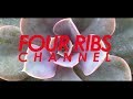 FOUR RIBS! Channel bagi Penikmat Kaktus dan Sukulen!