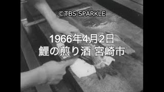 【TBSスパークル】1966年4月2日 鯉の煎り酒 宮崎市 Roasted carp liquor