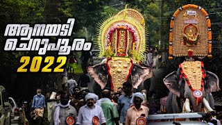 ആനയടി ചെറുപൂരം 2022 | Aanayadi Cherupooram 2022 | Kerala Elephants