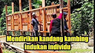 PASANG BERIKUT SPEKNYA KANDANG KAMBING INDUKAN INDIVIDU info +62 838-6962-0470