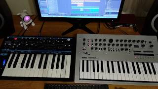 Andromeda Dreams - Rise To The Stars live (Korg Minilogue, Novation Bass Station ll)