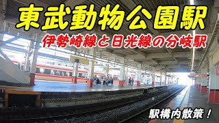 東武スカイツリーライン、東武動物公園駅構内を散策！(Japan Walking around Tobudoubutsukouen Station)