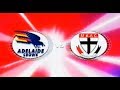 Round 17 Adelaide Crows Vs St Kilda Saints 2003