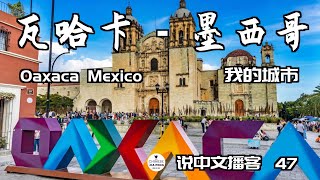 「瓦哈卡-墨西哥 l Oaxaca,Meixco 我的城市#4」 Speak Chinese with Da Peng 47 大鹏说中文