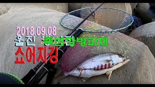 울진 죽변항 쇼어지깅 [Uljin shorebreaking shore jigging]