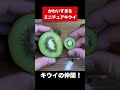 めちゃカワイイ秋の味覚