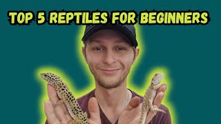 Top 5 Reptiles For Beginners 🤪