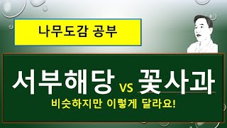 서부해당 vs 꽃사과 : 열매는 이렇게 달라요!