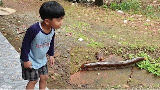 IH SEREEEM , KAKI SERIBU LUWING  DATANG KE RUMAH