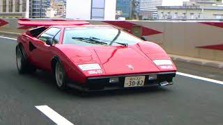 Lamborghini Countach LP500S  Walter Wolf