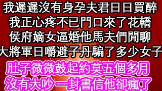 我遲遲沒有身孕夫君日日買醉，我正心疼不已門口來了花轎，侯府嫡女逼婚他馬夫們閒聊“大將軍日嚼避子丹騙了多少女子”肚子微微鼓起約莫五個多月，沒有大吵 一封書信他卻瘋了