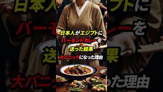 日本人がエジプトにバーモントカレーを送った結果現地が大パニックになった理由とは!? #海外の反応 #日本