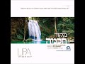 lipa shmeltzer new song uman