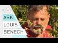 Designing for Versailles - Louis Benech | Landscape design | Landscape architect