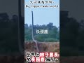 世界上脖子最長的長頸鹿，嚇人~the giraffe with the longest neck in the world is scary~世界一首が長いキリンは怖いですね～ 動物 大自然 蟒蛇