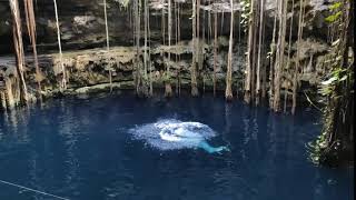 diving into a Mexican Cenote - Eintauchen in eine mexikanische Zenote