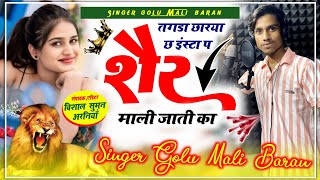 SONG ( 2 ) तगडा छारया छ इंस्टा प शेर माली जाती का // सिंगर गोलू माली बारां/ Insta.Trending Song 🔥💯✨