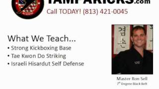 Tampa Karate Classes For Adults