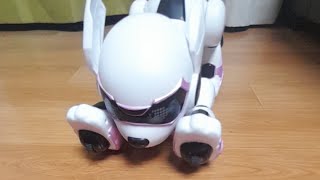 Arcelle Lee is live!robot dog