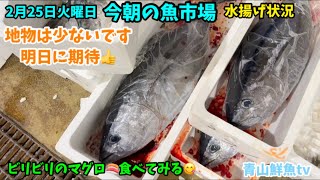 【連休明け少ない💦】【魚屋の作業風景】今朝の魚市場2月25日火曜日の水揚げ状況