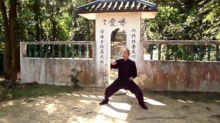 武術  功夫  洪拳  張本良  嶺南洪拳國術同學會 Kung Fu  8  (虎鶴雙形拳)  HD