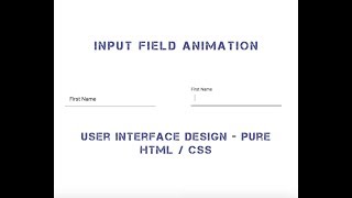 Input Field Animation - Pure HTML /CSS