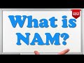 What is the full form of NAM?