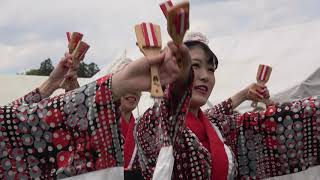 舞人・総踊り「TOKYO BON～鳴子Ver」＠2018　巾着田菜の花まつり