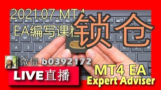 034.锁仓 .MT4EA.EA编写课程.基础知识+策略.柒侠伍义.7x51.马来西亚.槟城