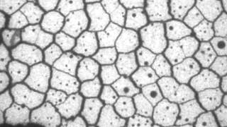 Starch columnar joints, drying rate controlled experiment